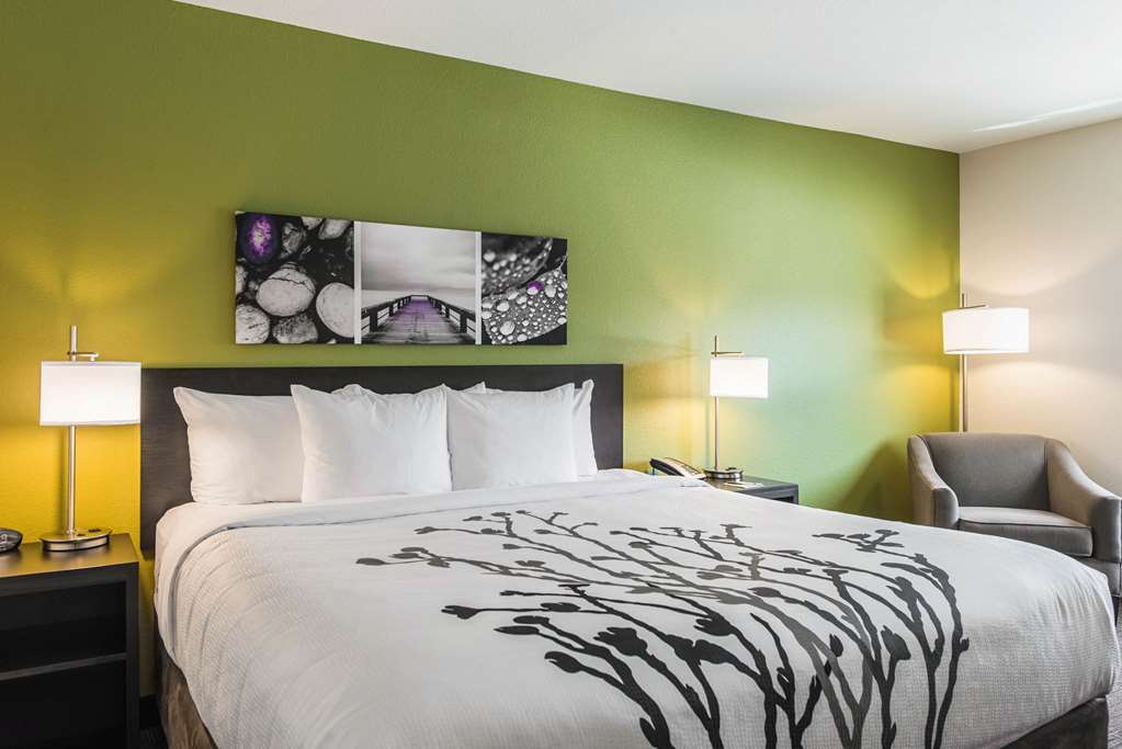 Sleep Inn & Suites Tampa South Værelse billede